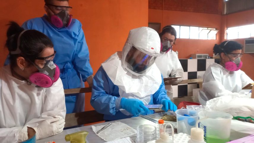 Saúde confirma dois casos de hantavírus em Ponta Grossa e Pérola D'Oeste