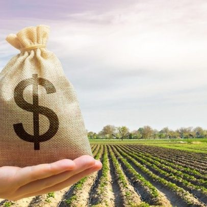 Amadurecimento dos FIDCs consolida o mercado de capitais na economia real
