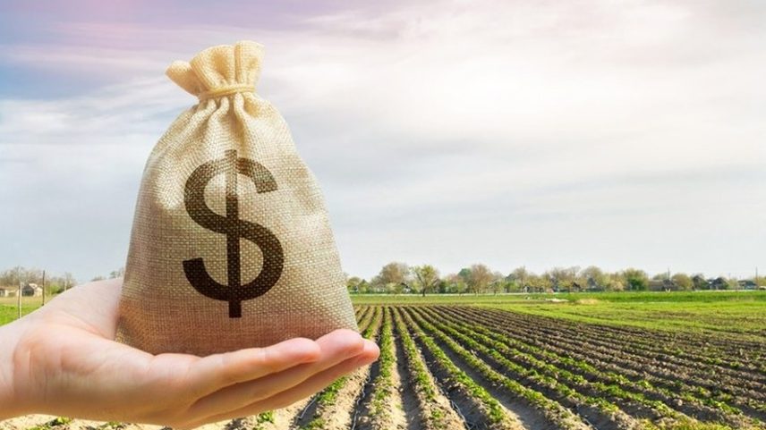 Distribuidoras do agronegócio estruturam FIDCs para financiar safra diretamente na cadeia produtiva — Foto: iStock/Mapa