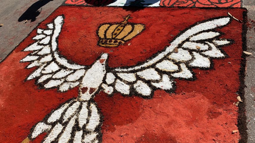 Tapete de Corpus Christi na Catedral do Divino Espírito Santo, em Palmas-TO — Foto: Otávio Frabetti/Catedral de Palmas