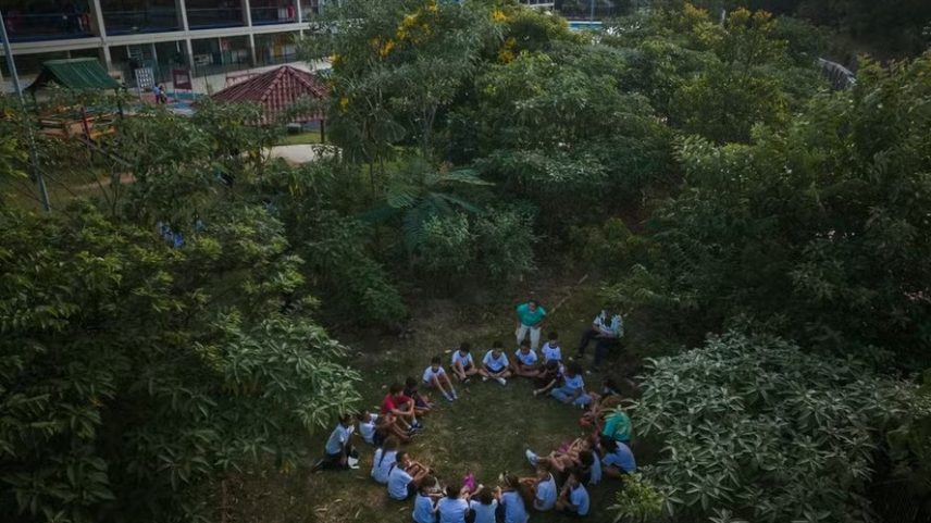 Estudantes reunidos em área arborizada dentro de escola em São Paulo; ampliação de espaços verdes é uma das estratégias defendidas por projetos de adaptação climática para enfrentar ondas de calor nas cidades.
