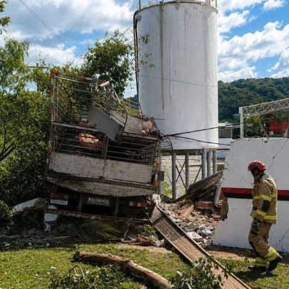 Venezuelana grávida morre em capotamento de caminhão com porcos em MG
