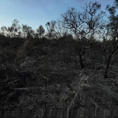 Mudanças climáticas já afetam 85% dos brasileiros, aponta pesquisa