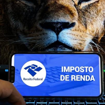 Restam 11 dias: 40% não enviaram a declaração do IRPF
