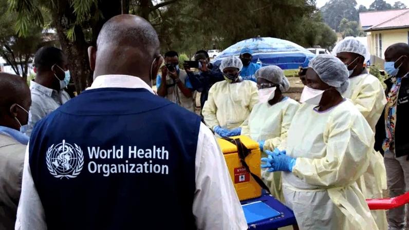 No total, foram confirmados 87 casos de ebola, a maioria sendo da República Democrática do Congo