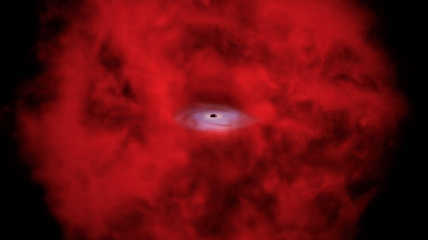 A newly discovered object may be a key to unlocking the true nature of a mysterious class of sources that astronomers have found in the early universe in recent years.
