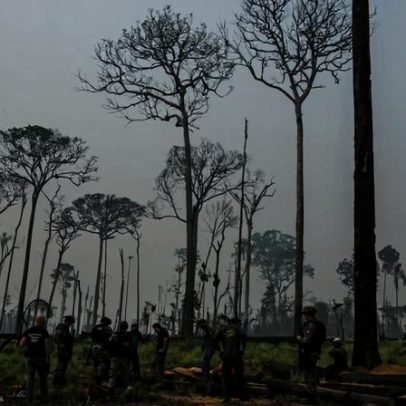 Brasil adapta parque nacional para abrir espaço a ferrovia de grãos