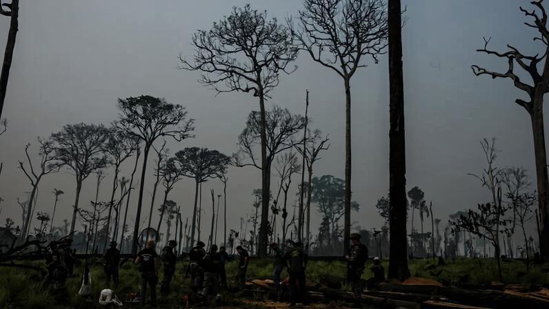 Under pressure from expanding soybean cultivation and transport infrastructure, protected areas in the Jamanxim region could become even more vulnerable. Image courtesy of Vinícius Mendonça/Ibama.