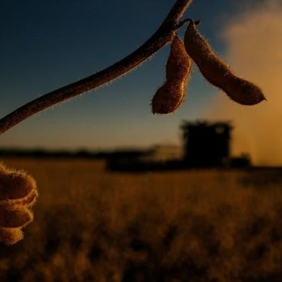 SC calcula pela primeira vez o PIB do agronegócio estadual