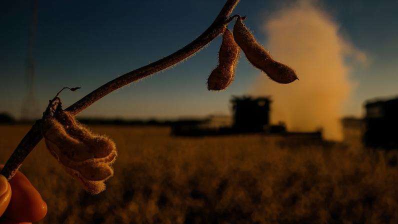 Estudo deve durar seis anos com metologia própria para calcular PIB do agro catarinense. (Foto: Michel Willian/Arquivo/Gazeta do Povo)