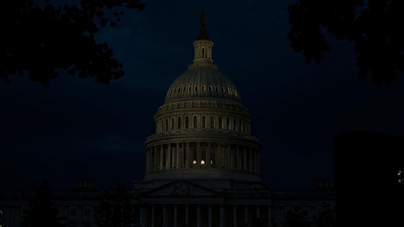 The U.S. Capitol in Washington, pictured in between trees.