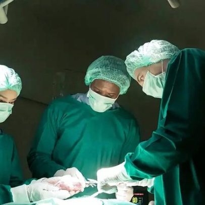 Rins e fígado de porco são transplantados para a mesma pessoa pela primeira vez