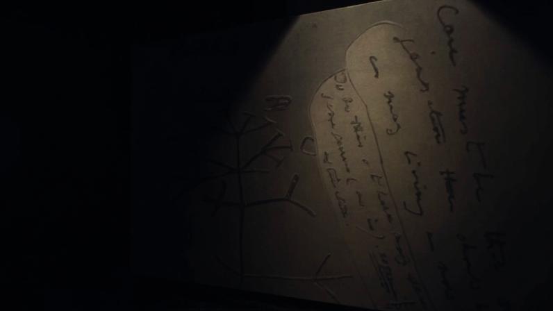 Esboço do "Árvore da Vida" de Darwin, com um diagrama ramificado e anotações manuscritas em inglês, incluindo "I think" e "living"