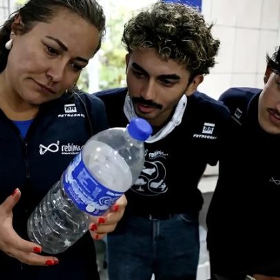 Estudo aponta microplásticos em 93% de peixes no litoral do Paraná