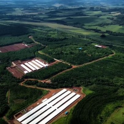 Expansão da Lar no Paraná avança com apoio do Governo estadual