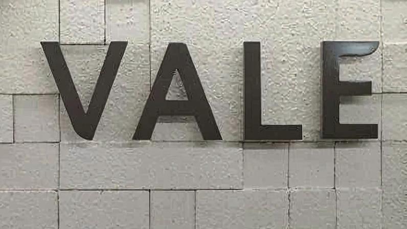 Vale convocou acionistas para decidir em assembleia sobre pedido da Previ para trocar presidente do conselho da companhia
