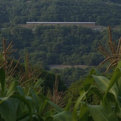 Como ações internas prejudicam o desempenho do agronegócio brasileiro