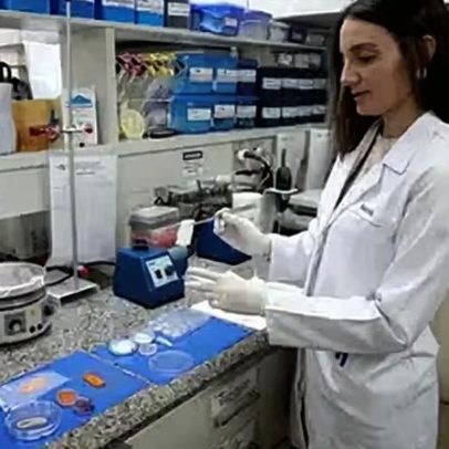 Embrapa desenvolve técnica de carne de laboratório