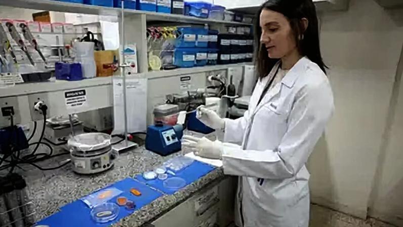 Naiara Milagres Augusto da Silva, analista do Cenargen, explica as técnicas utilizadas pela Embrapa