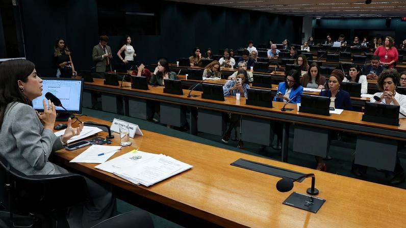 Reunião do Grupo de Trabalho da Câmara sobre Crimes Praticados em Razão de Misoginia.