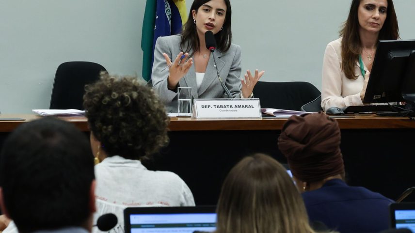Reunião do Grupo de Trabalho da Câmara sobre Crimes Praticados em Razão de Misoginia. Foto Lula Marques/Agência Brasil.