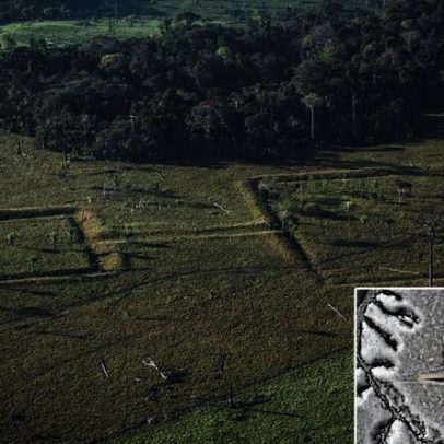 Projeto revela marcas da presença humana milenar na Amazônia