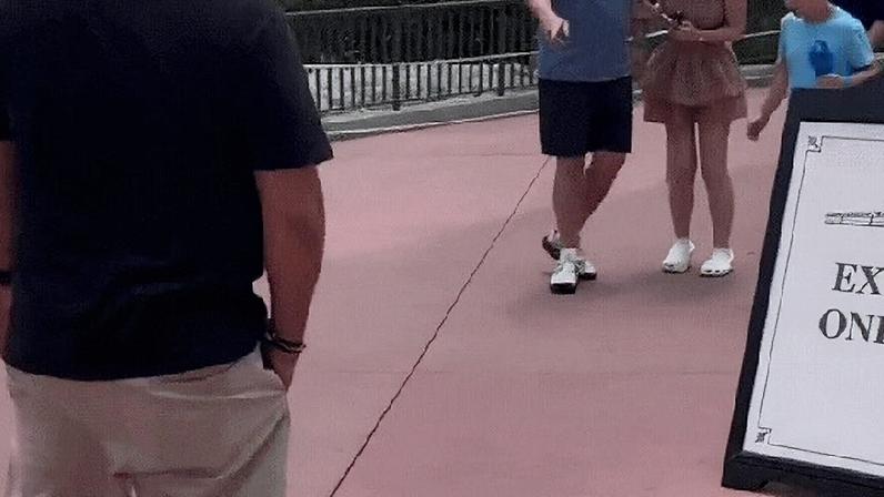 Mãe leva susto ao encontrar cobra em parque da Disney: "Cena inusitada"