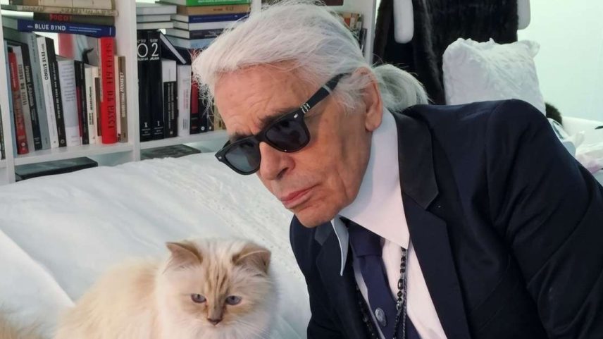 Gata de Karl Lagerfeld, hoje com 14 anos, ainda não recebeu fortuna bilionária do estilista; R$ 8,7 milhões não foram pagos e pet troca mansão por apartamento em Paris.