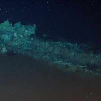 Centenas de carcaças de baleias encontradas juntas no fundo do oceano