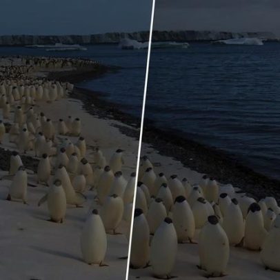 Cientistas propõem modelo para explicar topografia oculta da Antártida