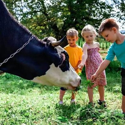 Matéria escolar sem notas nem competição eleva país entre os mais felizes
