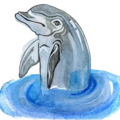 Como funcionam as narinas dos golfinhos e a velocidade das nuvens, quiz infantil