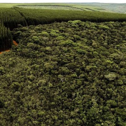 Setores produtivos ampliam ações ambientais em Minas Gerais