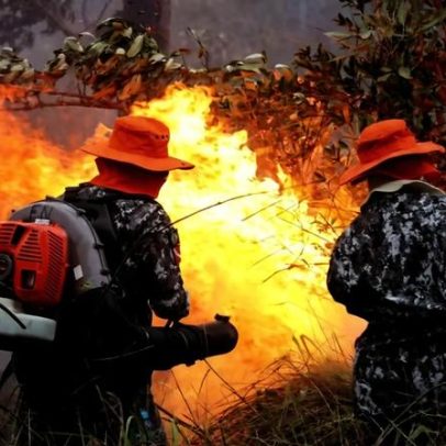 Governo amplia orçamento para prevenção e combate a incêndios florestais