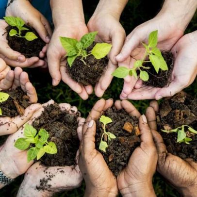 Dia Mundial do Meio Ambiente traz 30 atitudes para reduzir o impacto ambiental