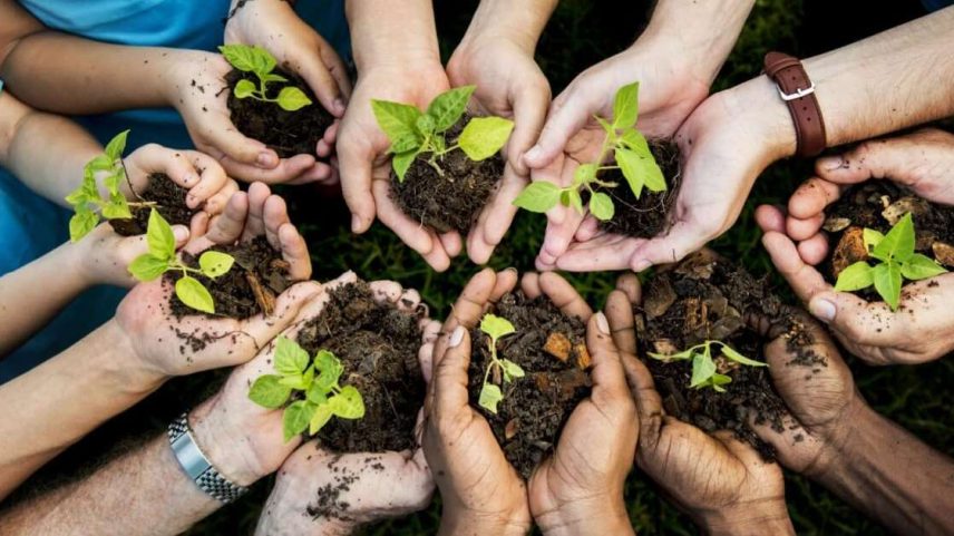 Atitudes simples no dia a dia ajudam a preservar o meio ambiente