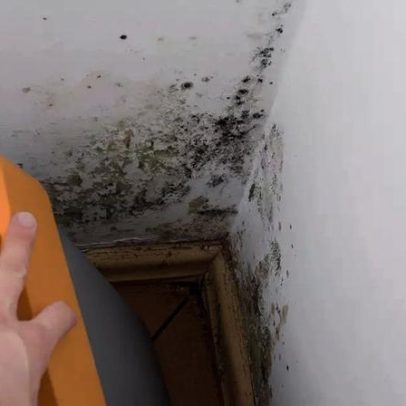 Mofo persiste mesmo após limpeza: o problema pode estar na umidade