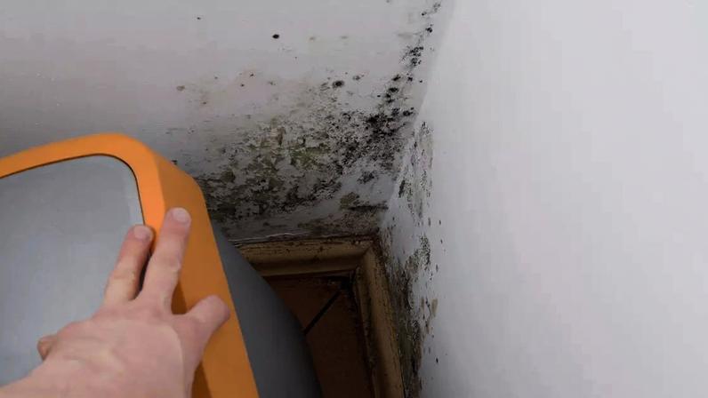 Como evitar mofo em casa / Canva