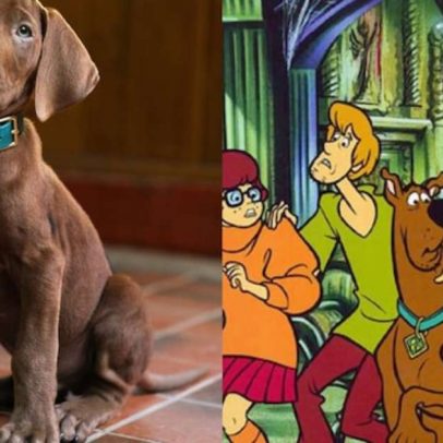 Netflix revela cão protagonista de novo live-action de Scooby-Doo