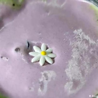 Agricultores filipinos acompanham a febre global do ube