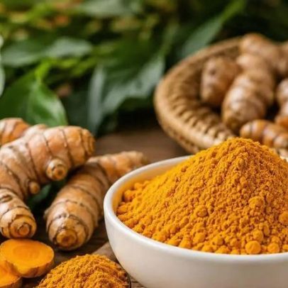 Cúrcuma une tradição, sabor e interesse científico
