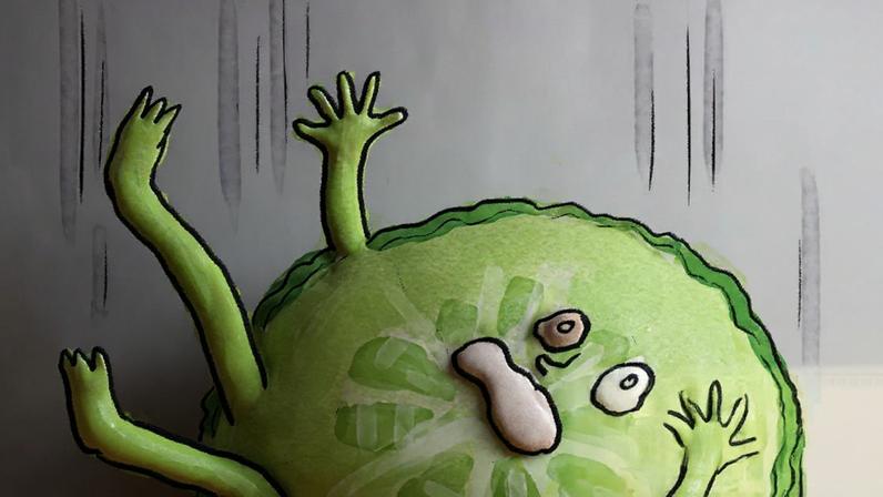 Regra dos cinco segundos: estudo questiona validade após cair alimento no piso