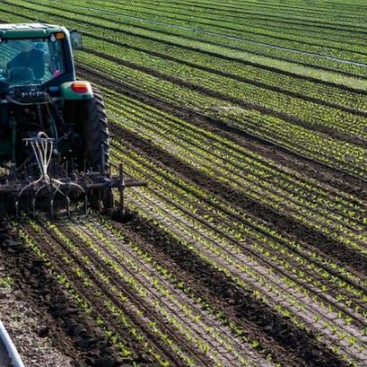 Trump pede venda de safras ao Irã, gerando esperança cautelosa para agricultores