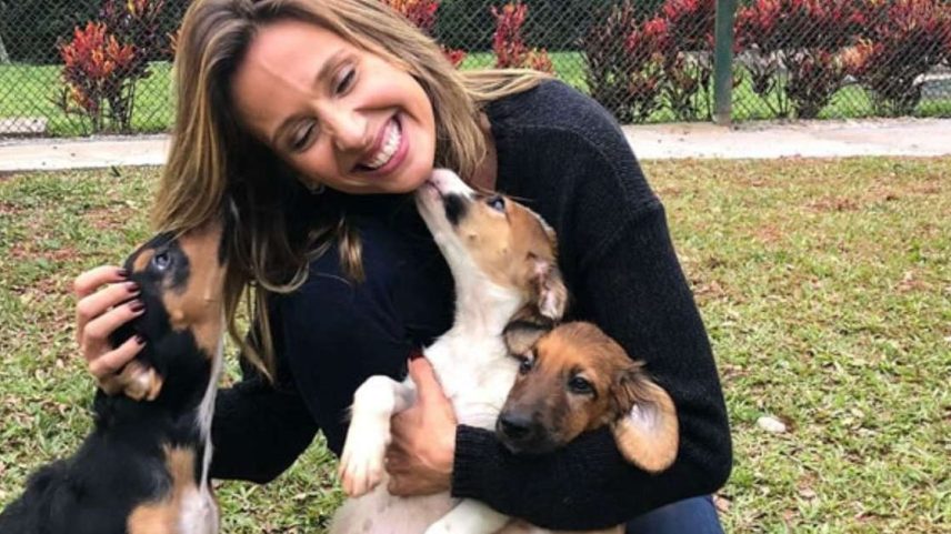 O que diz a psicologia sobre as pessoas que estão sempre acariciando os cães na rua.