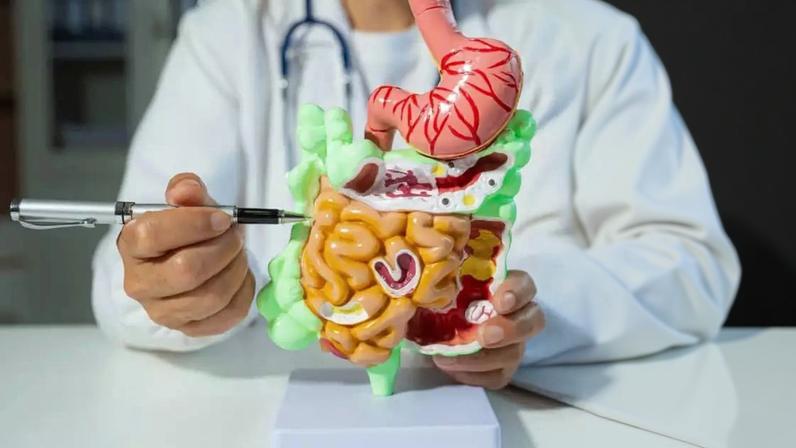 Entender a diferença entre intestino irritável e intestino permeável é essencial para evitar tratamentos inadequados