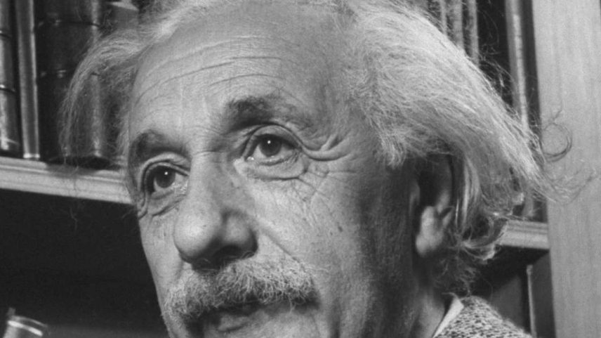 Frase de Albert Einstein: 'Nada beneficiará tanto a saúde humana e aumentará as chances de sobrevivência da vida na Terra quanto a evolução para uma dieta vegetariana'.