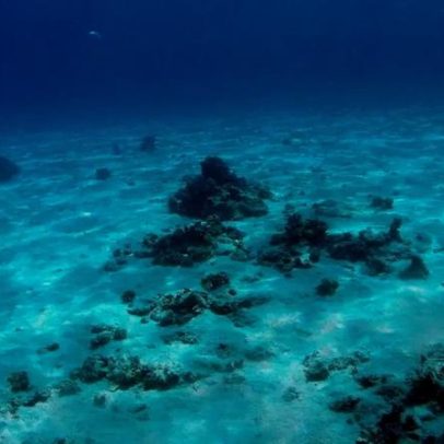 O que há nas profundezas do oceano