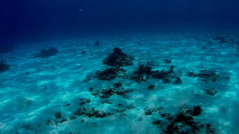 Fundo do mar -