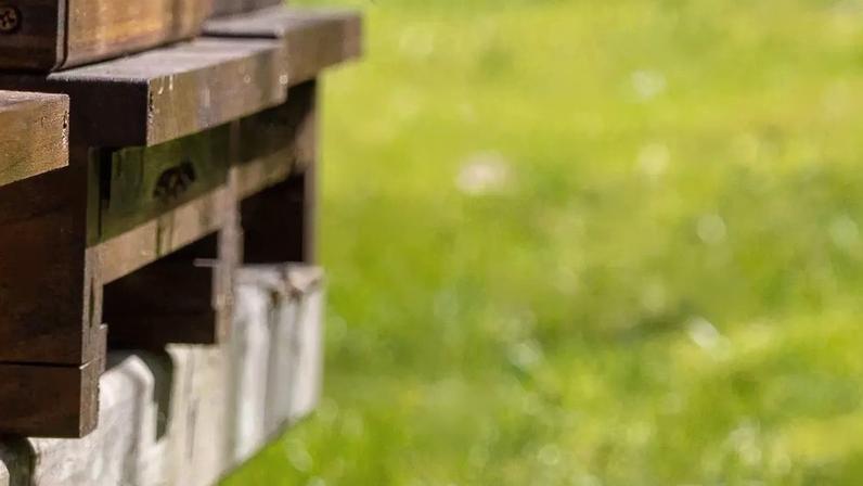 Em diferentes cantos do planeta, uma parte importante da vida depende de organismos tão pequenos que muitas vezes passam despercebidos – depositphotos.com / michaflo