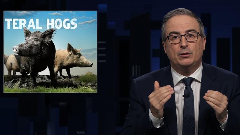 John Oliver: ‘No wonder some of those who study them describe hogs in apocalyptic terms.’ Photograph: YouTube